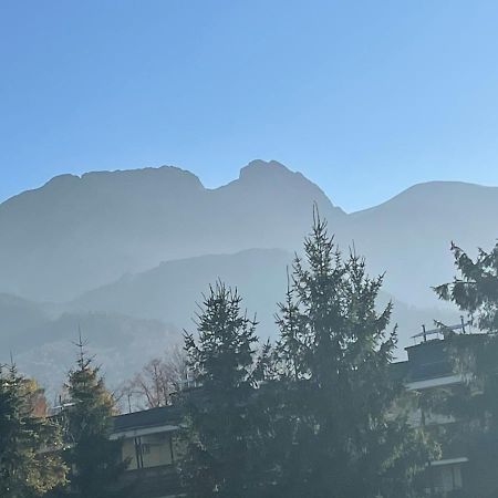 Apartamentylove - Apartament U Janicka, 100M Do Krupowek ザコパネ エクステリア 写真